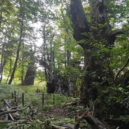 Difesa Del Monte Bauernhof