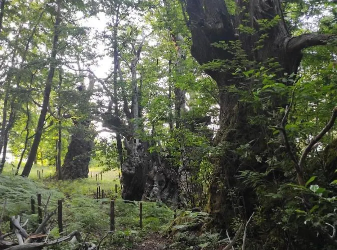 Difesa Del Monte Alojamento de Turismo Rural
